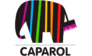 Caparol Center